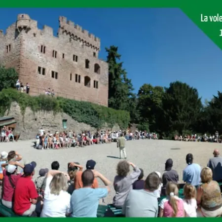 Le Carre Alsacien * Sélestat